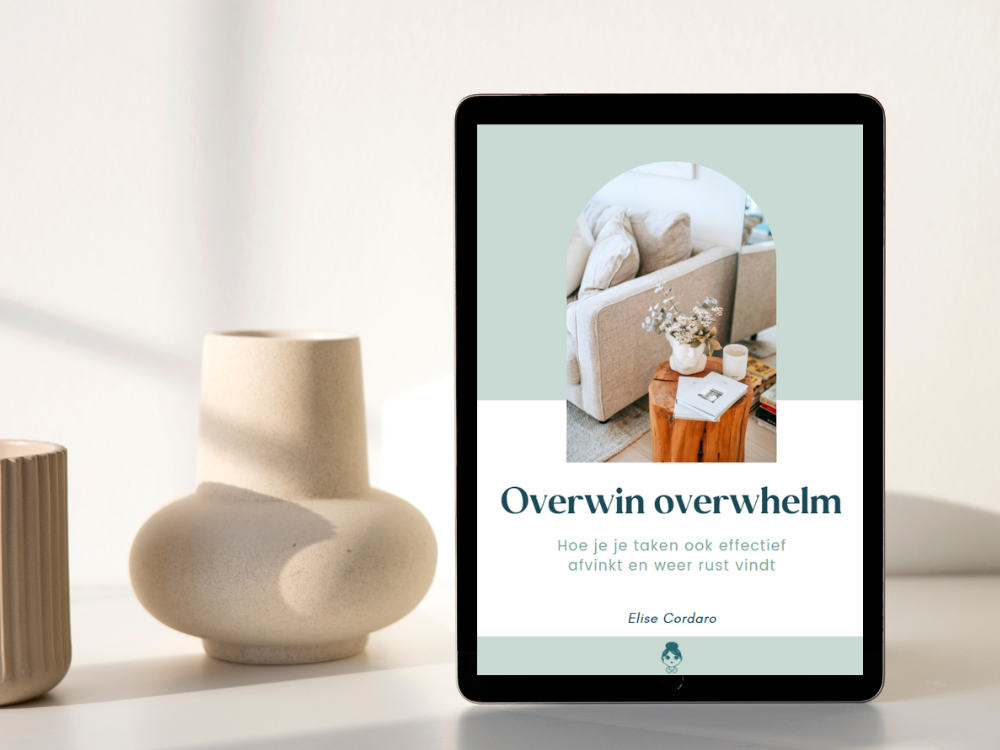 Overwin overwhelm - e-Book