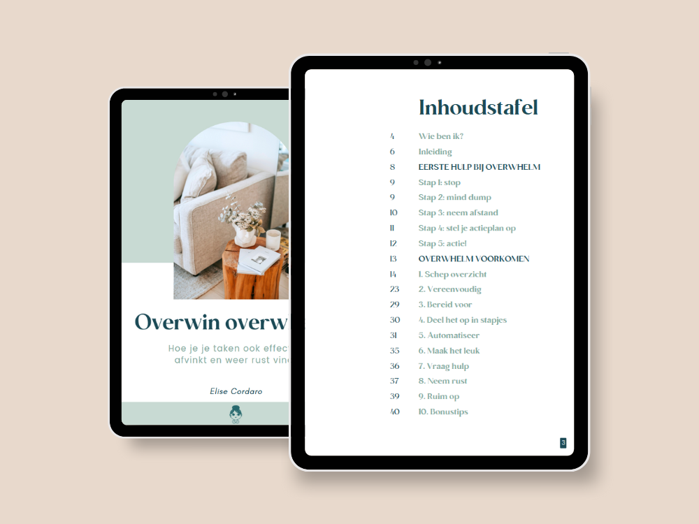 Overwin overwhelm - e-Book